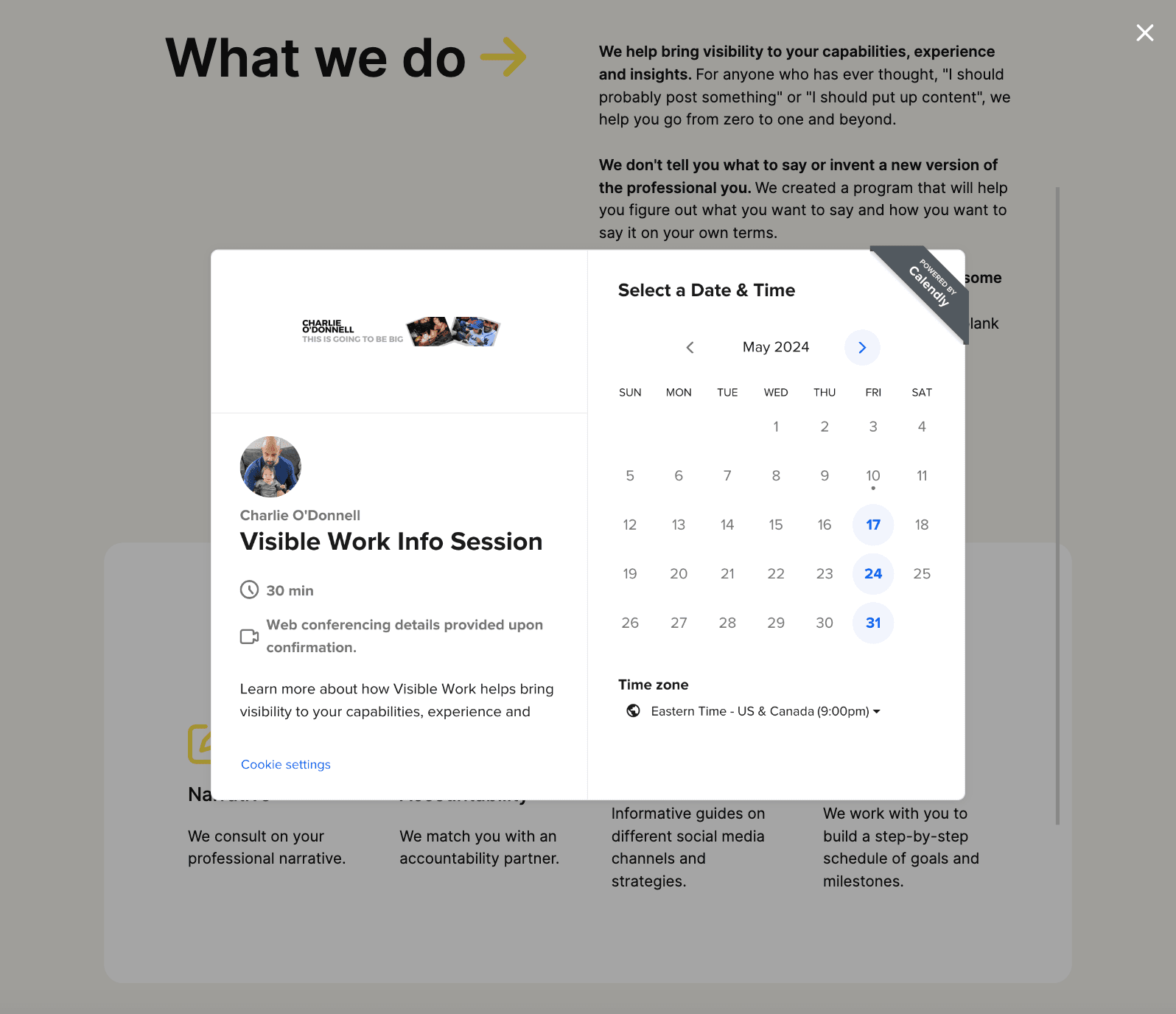 Visible Work landing page with a pop up covering the screen to book an info session with Calendly